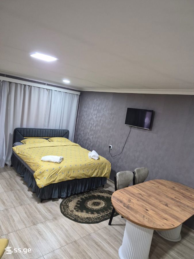 1 Room Private House Daily Rent. Rustavi view 4