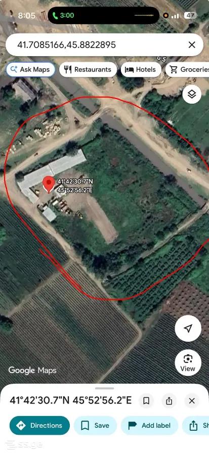 Land For Sale. Gurjaani view 1