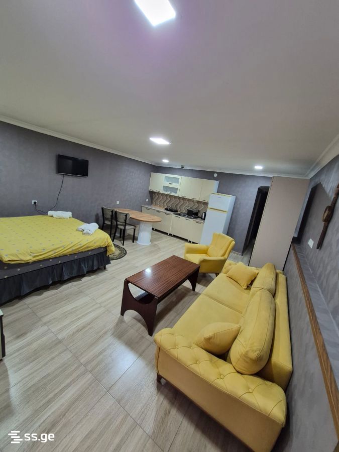 1 Room Private House Daily Rent. Rustavi view 2