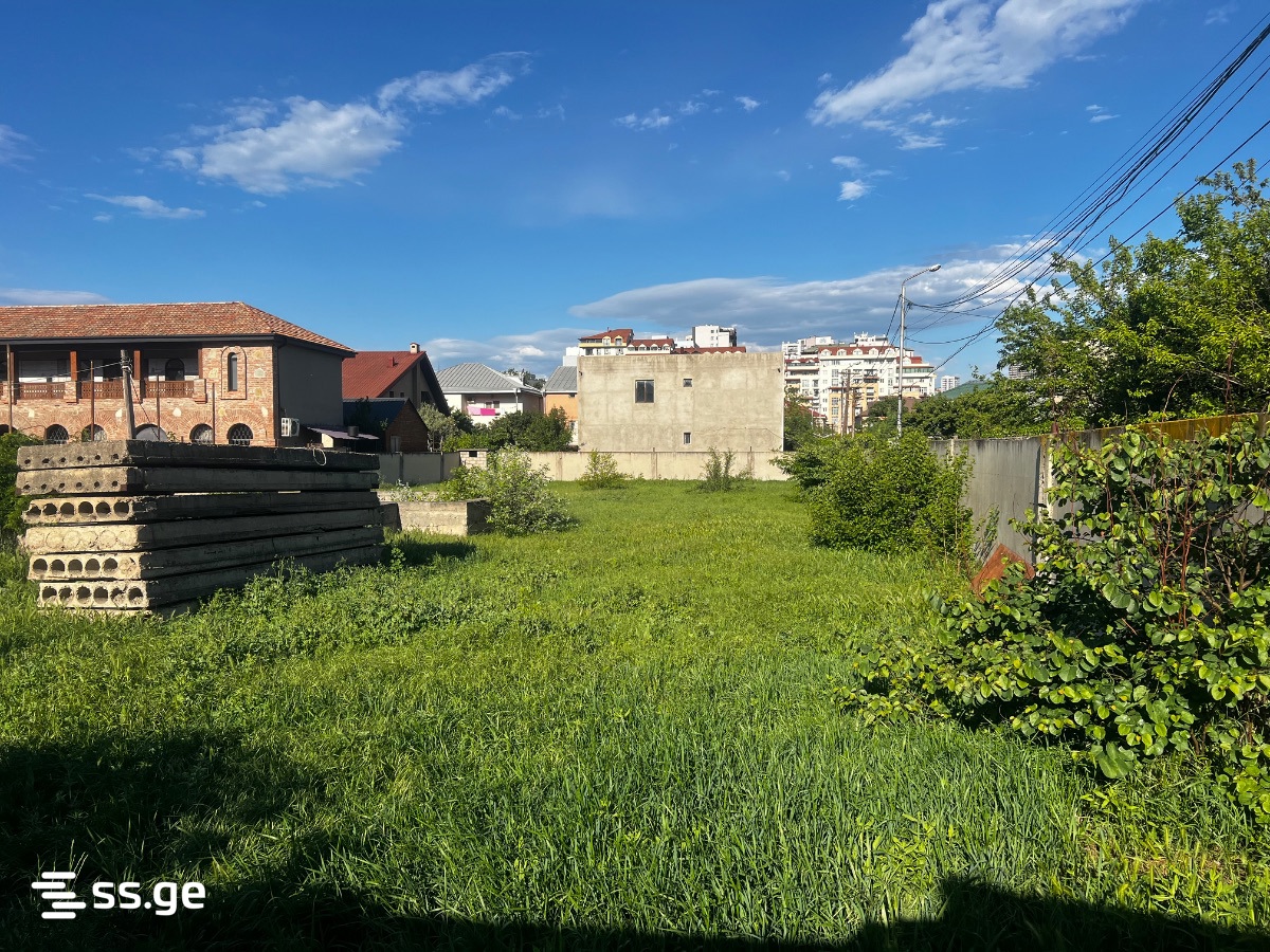 Land For Rent. Digomi Village view 5
