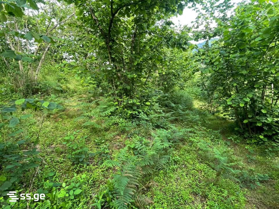 Land For Sale. Chaqvi view 11