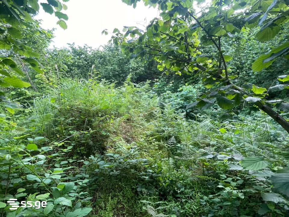 Land For Sale. Chaqvi view 12