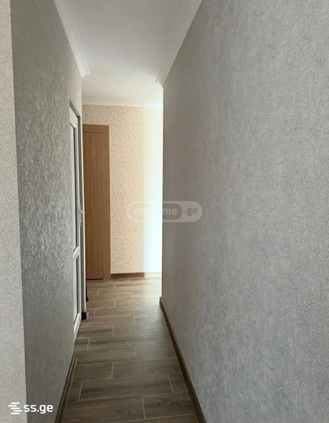 https://static.ss.ge/20260606/11_9e867eaa-a9ab-479c-924f-a8129da28984_Thumb.jpg
