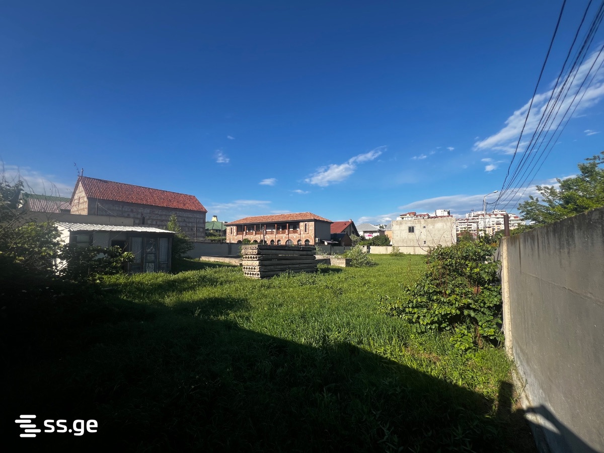 Land For Rent. Digomi Village view 2