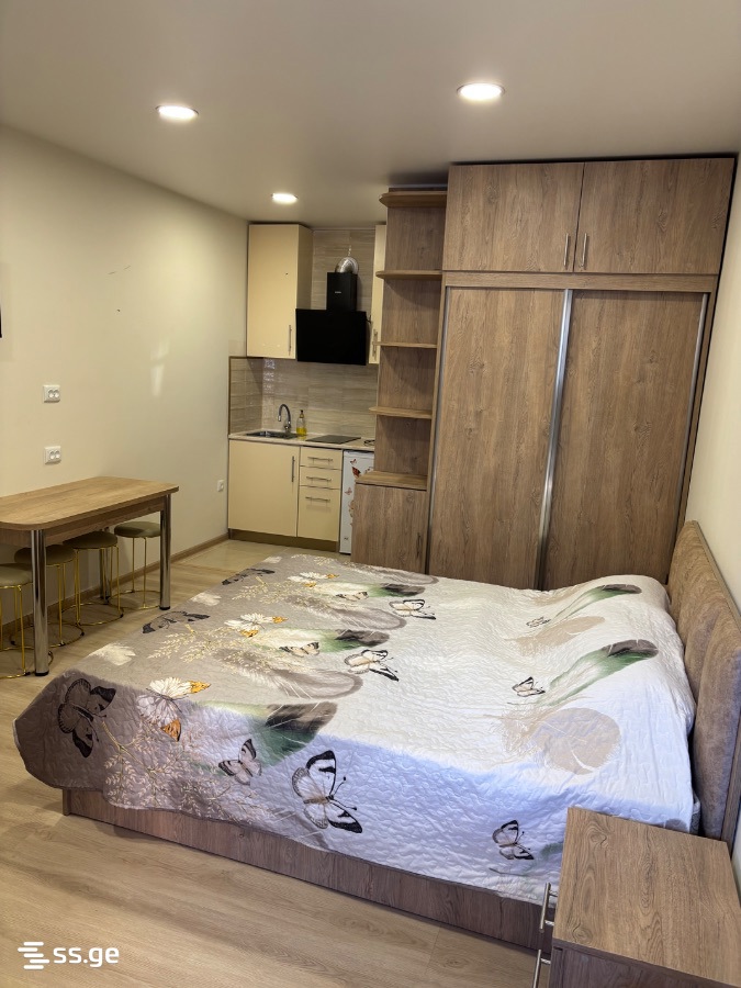 1 Room Flat Daily Rent. Kobuleti view 9