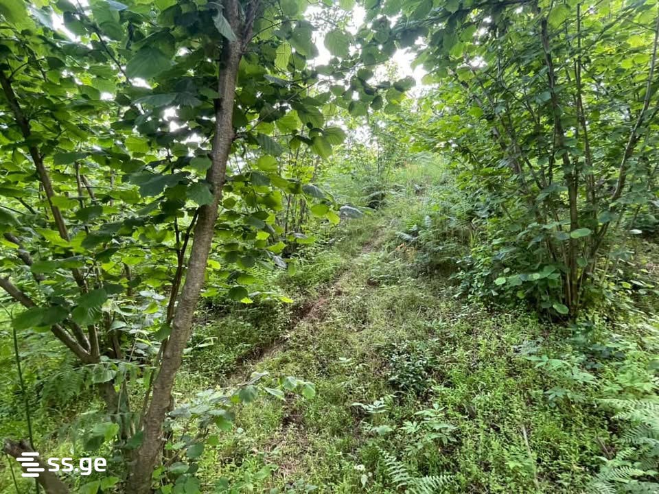 Land For Sale. Chaqvi view 5