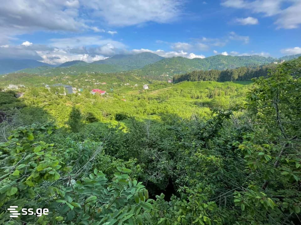 Land For Sale. Chaqvi view 1