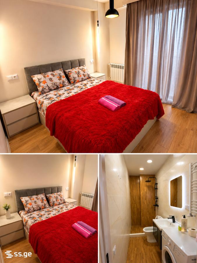 2 room Flat Daily rent. Didi digomi - Widok 4