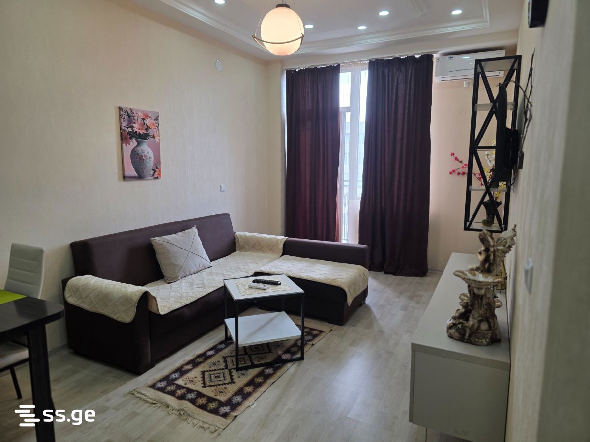 2 Room Flat Daily Rent. Didi Digomi view 5