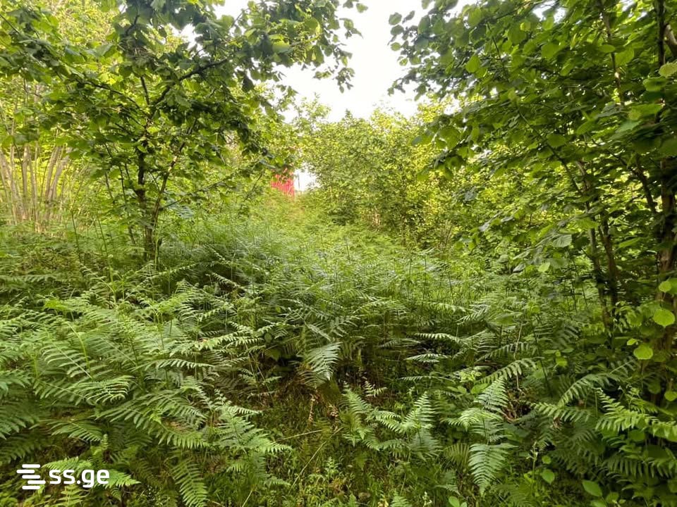Land For Sale. Chaqvi view 7