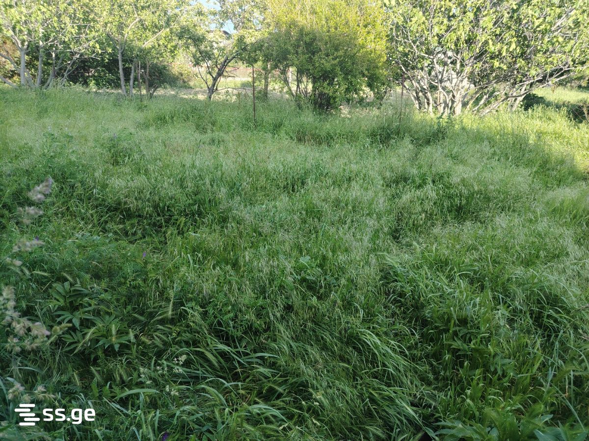 Land For Sale. Mukhrani view 2