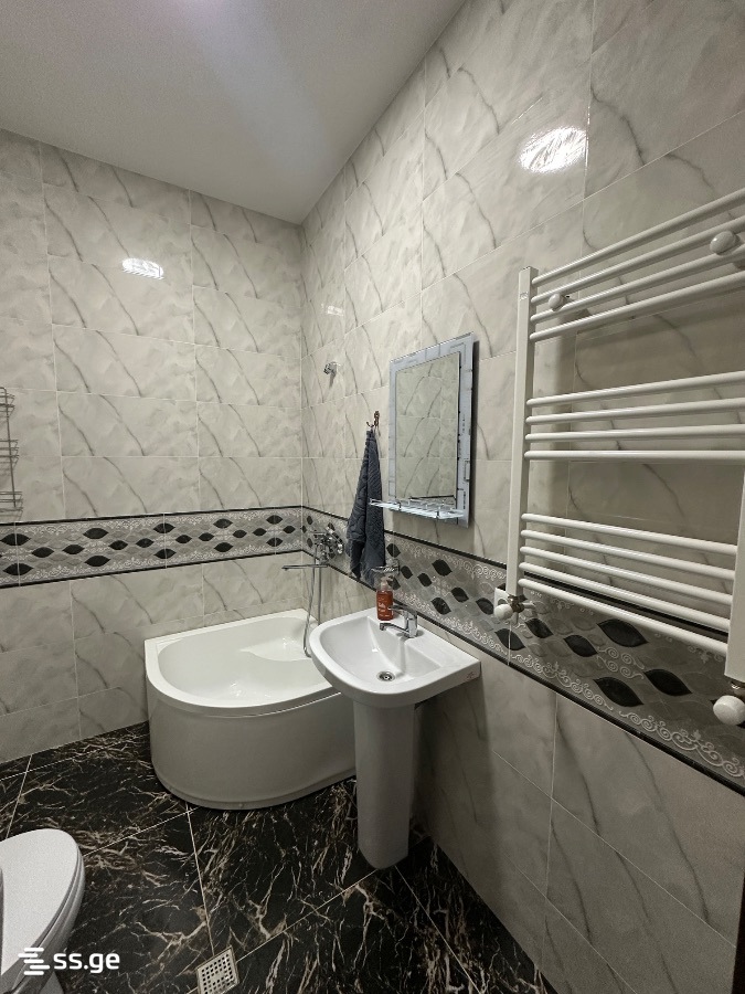 2 Room Flat Daily Rent. Rustavi view 4