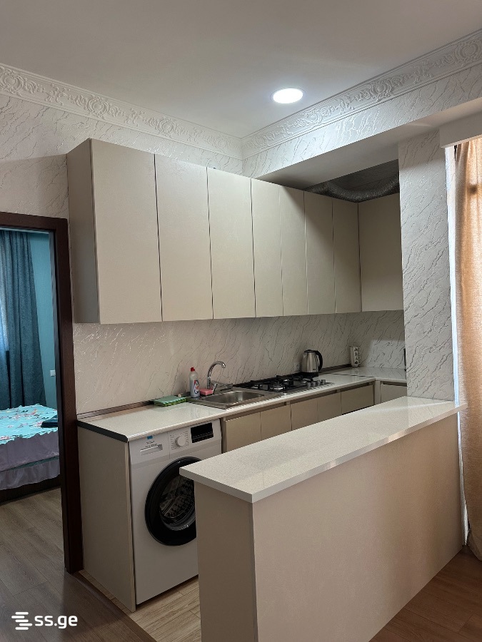 2 Room Flat Daily Rent. Rustavi view 2