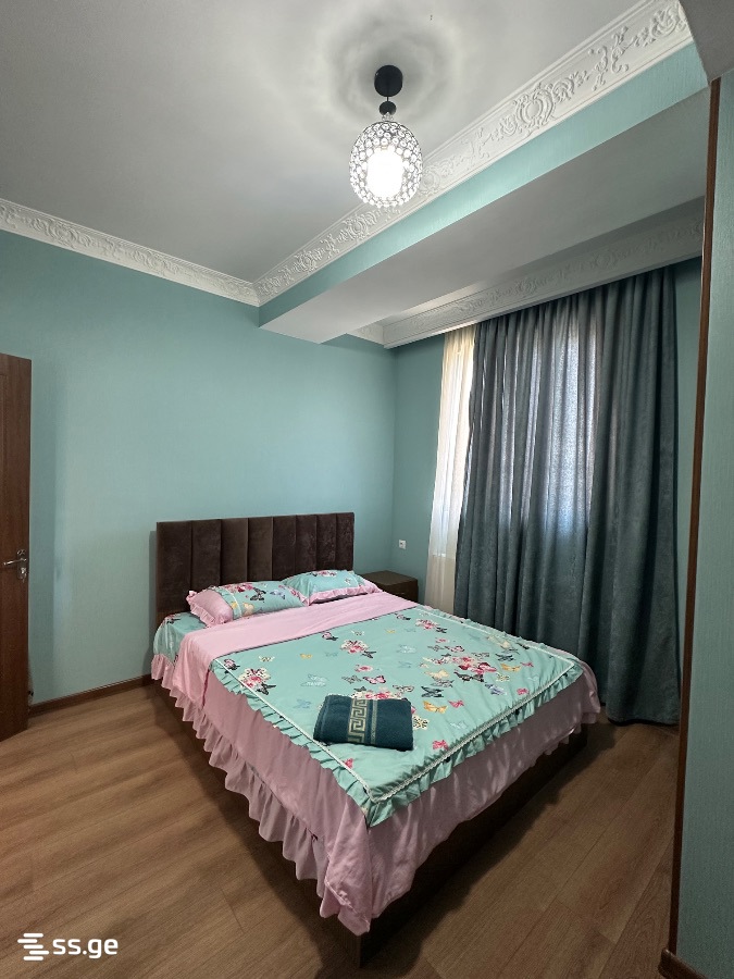 2 Room Flat Daily Rent. Rustavi view 1