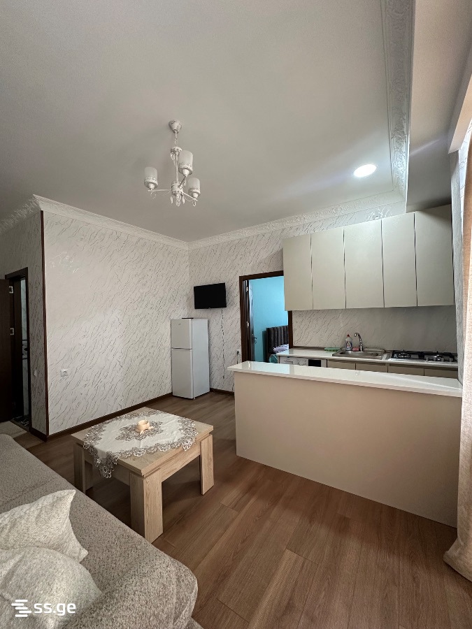 2 Room Flat Daily Rent. Rustavi view 7