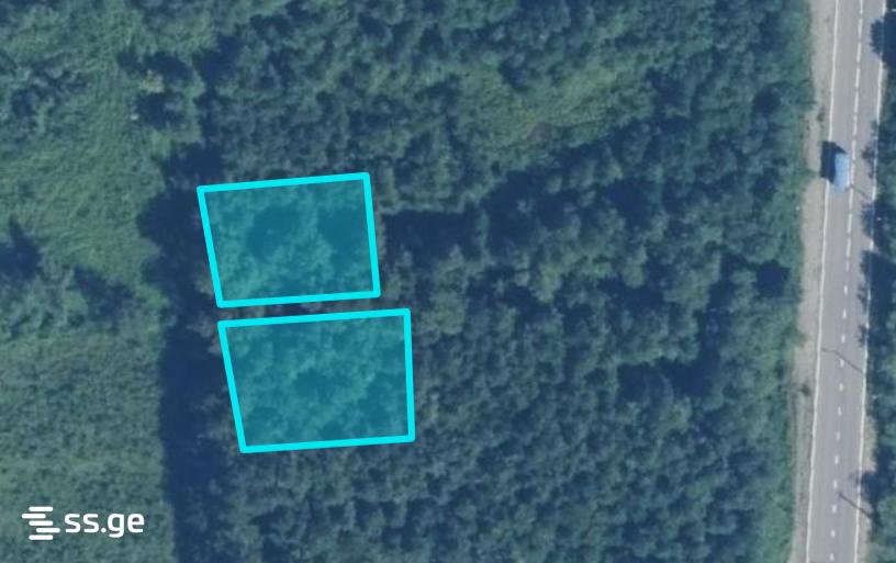 Land For Sale. Shekvetili view 2