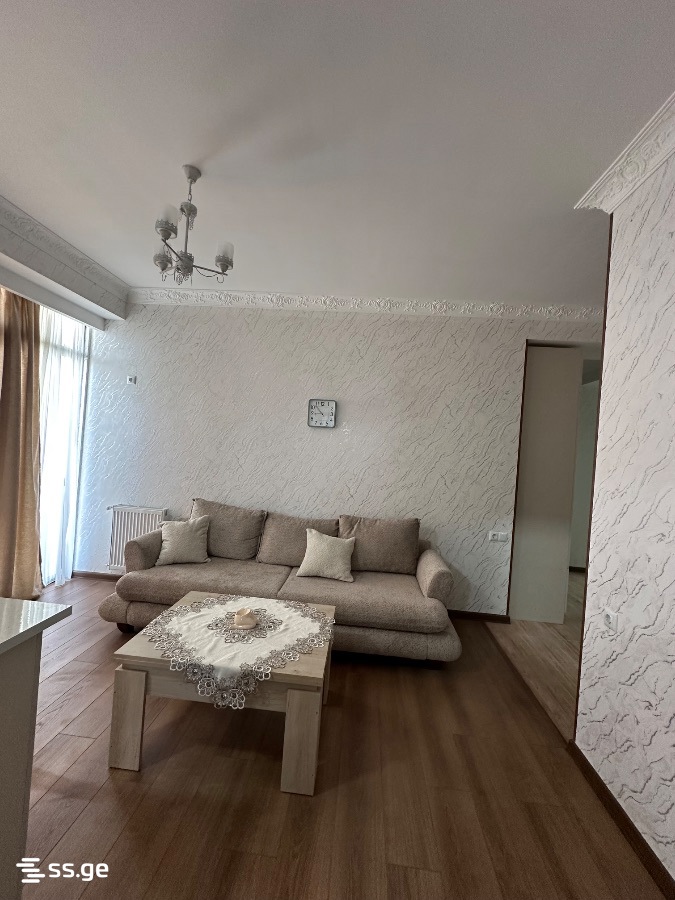 2 Room Flat Daily Rent. Rustavi view 8