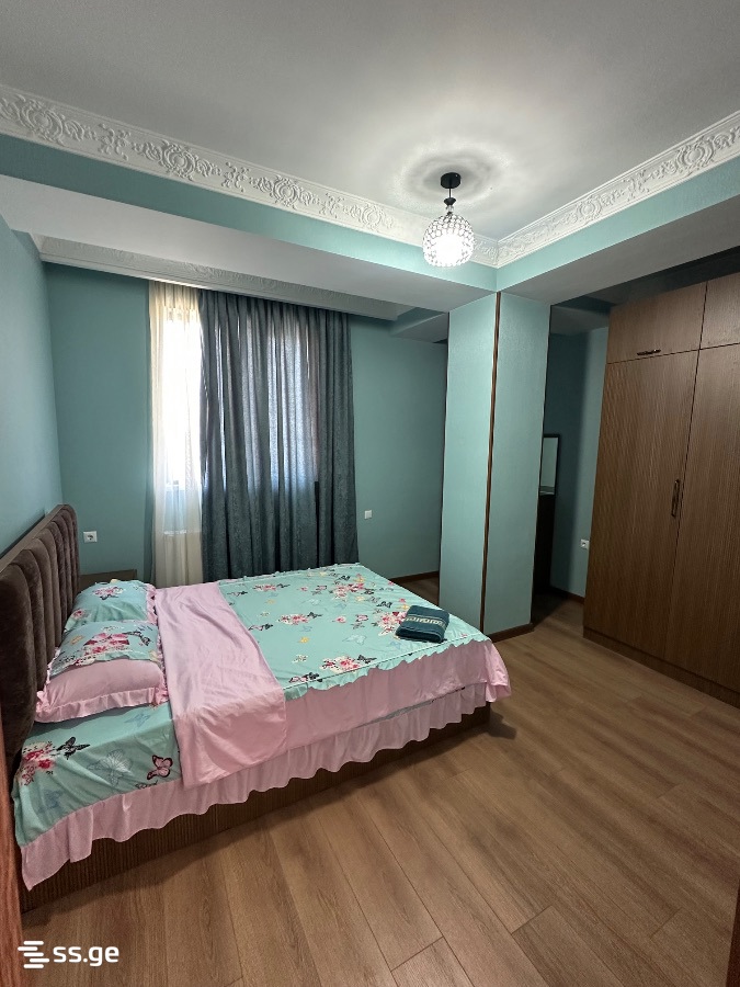 2 Room Flat Daily Rent. Rustavi view 3