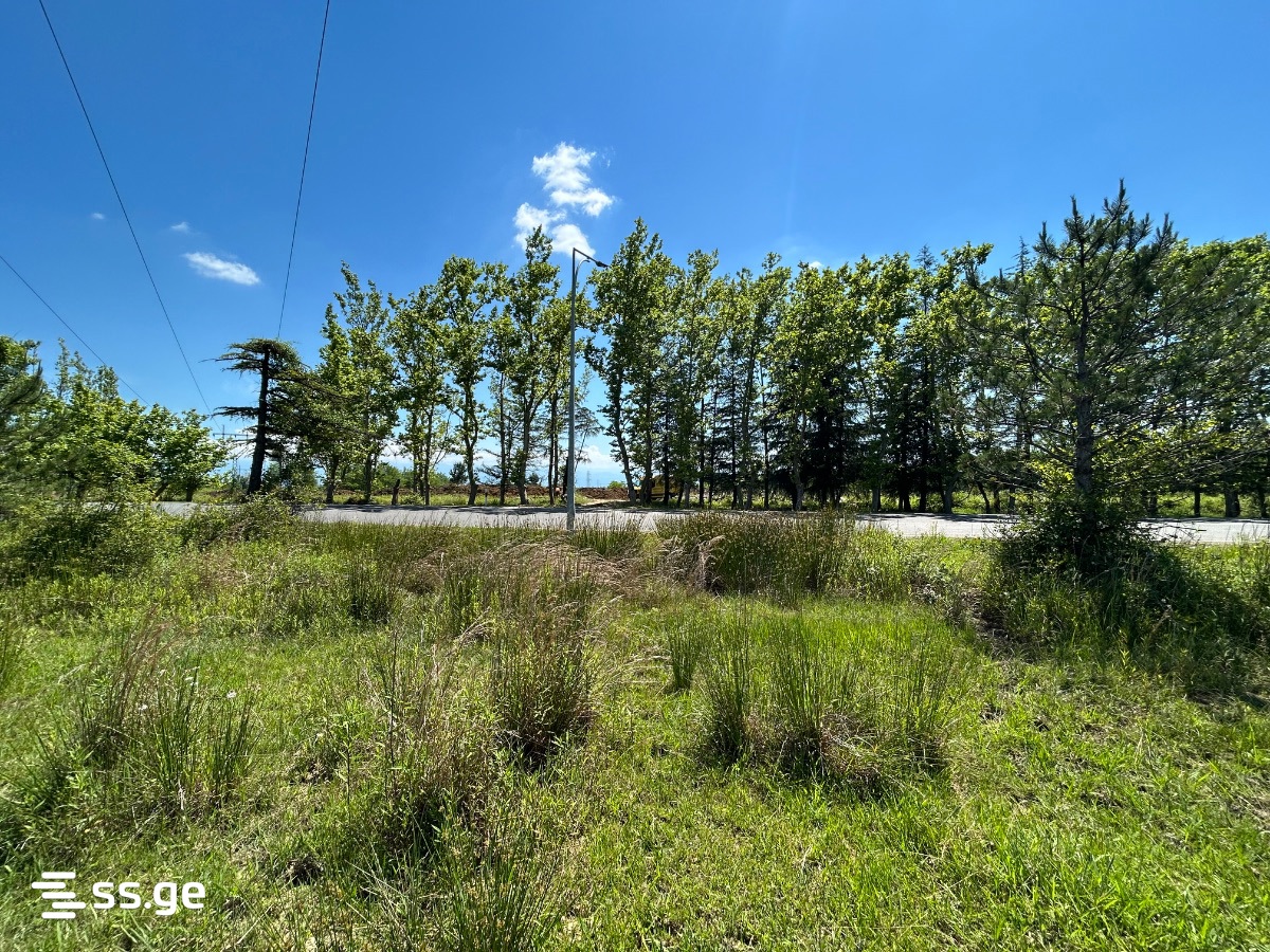 Land For Sale. Tskaltubo view 4