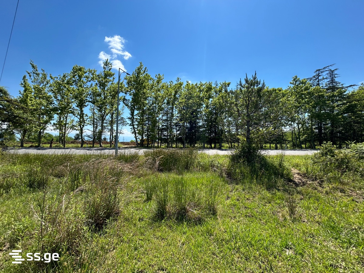 Land For Sale. Tskaltubo view 3