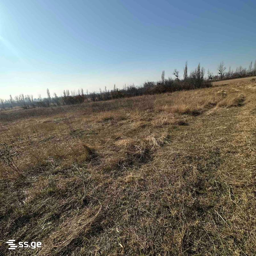 Продажа Земля в ахалсопели view 1