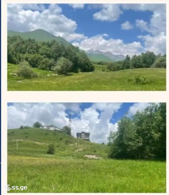 Land For Sale. Kazbegi view 1