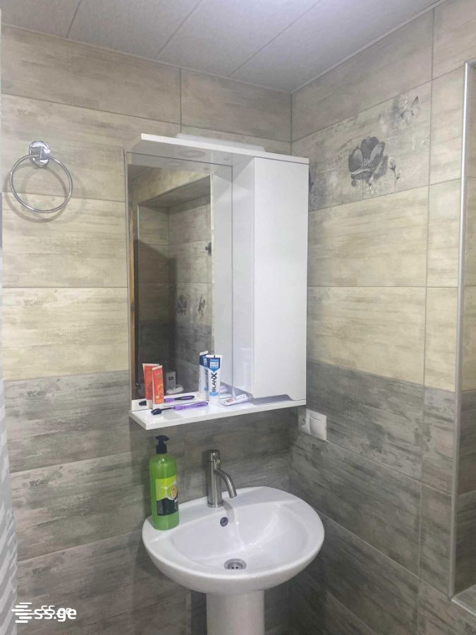 6 Room Summer Cottage For Rent. Mukhrani view 5