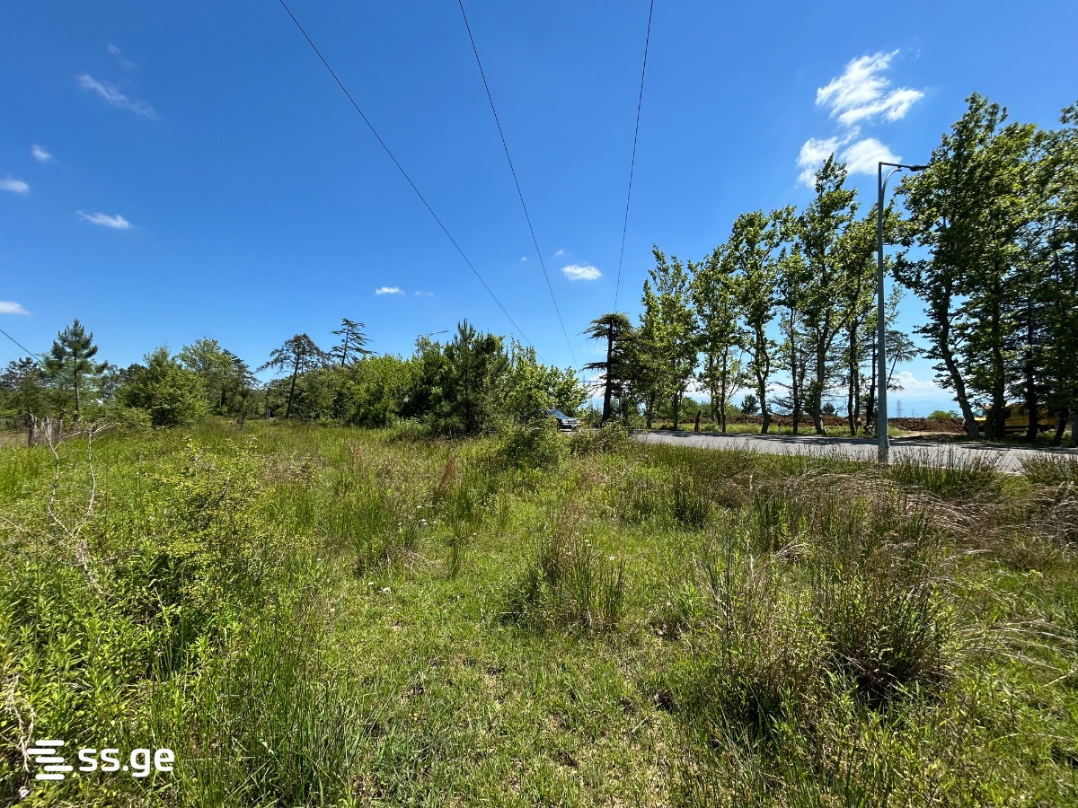 Land For Sale. Tskaltubo view 6