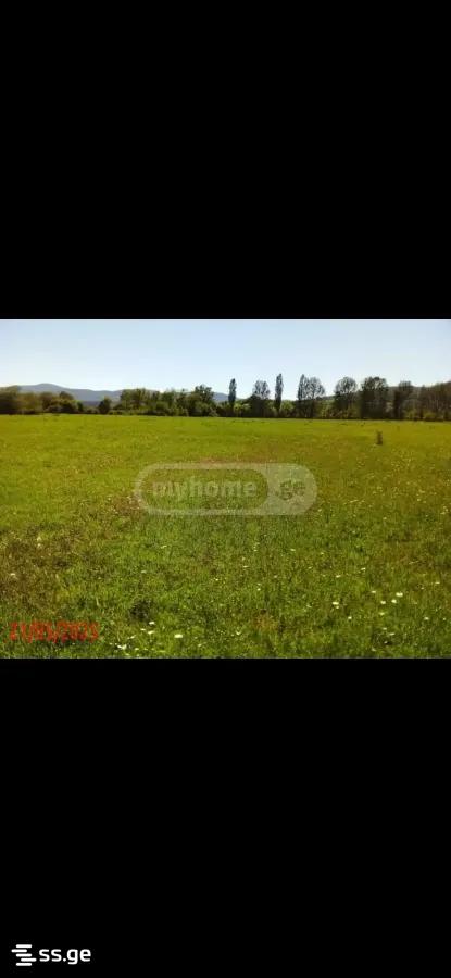Продажа Земля в ахалсопели view 1