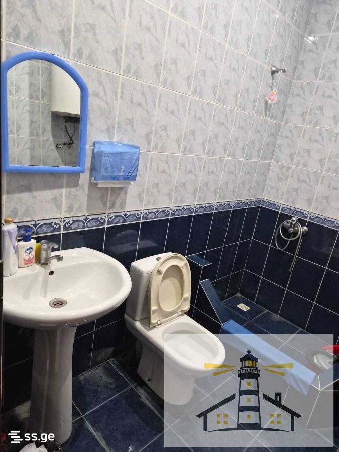 Commercial Space For Rent. Poti view 9