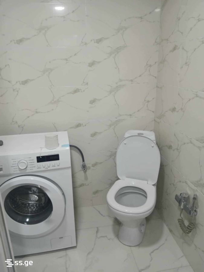 3 Room Flat For Rent. Telavi view 6