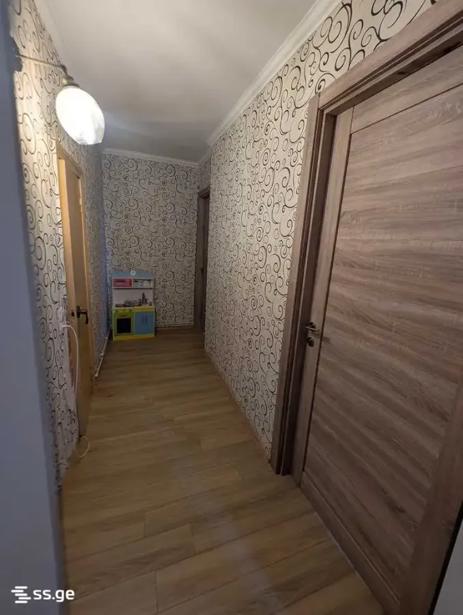 https://static.ss.ge/20260608/15_d96e853b-ee7b-4ff3-acb9-4e73321d310d_Thumb.jpg