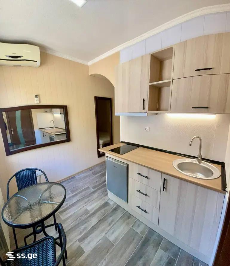Hotel For Rent. Chugureti view 10