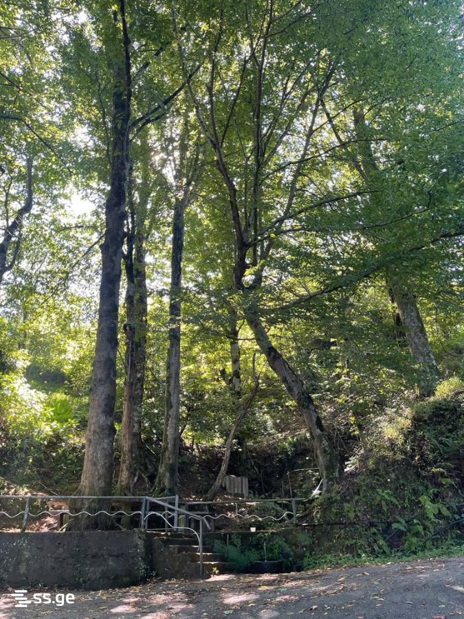 4 Room Summer Cottage For Sale view 1