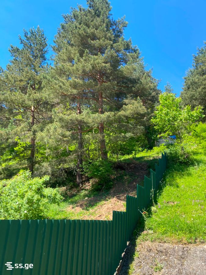 5 Room Private House Daily Rent. Borjomi view 10