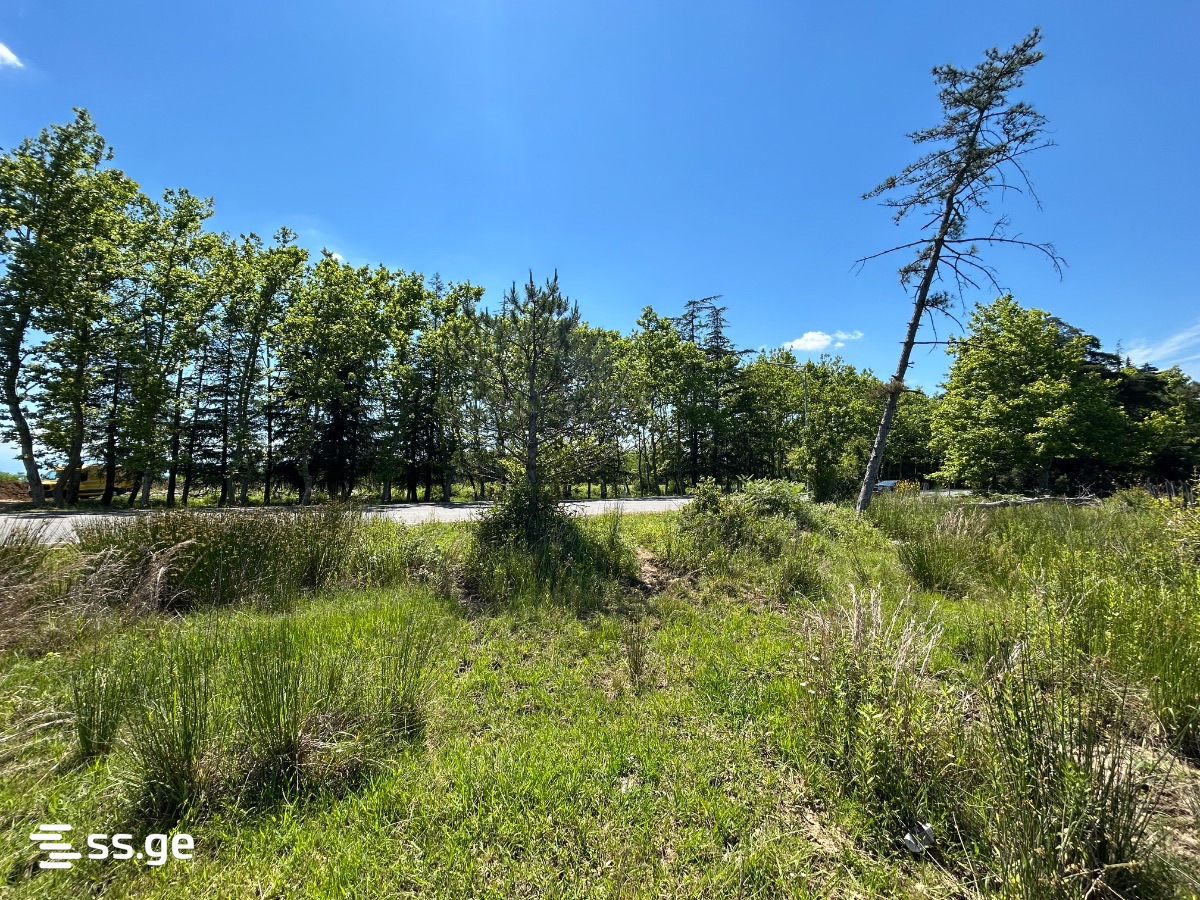 Land For Sale. Tskaltubo view 8