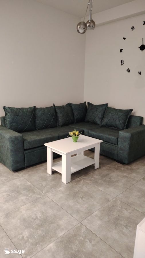 2 Room Flat Daily Rent. Rustavi view 1