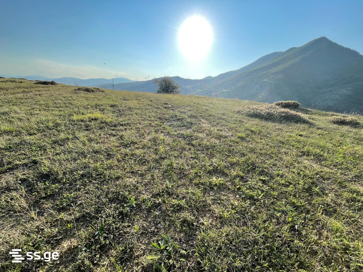 Land For Sale. Abastumani view 7