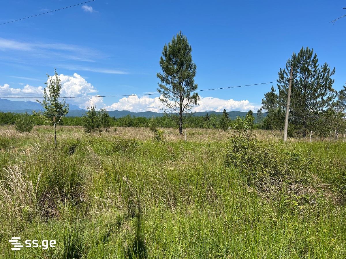Land For Sale. Tskaltubo view 5