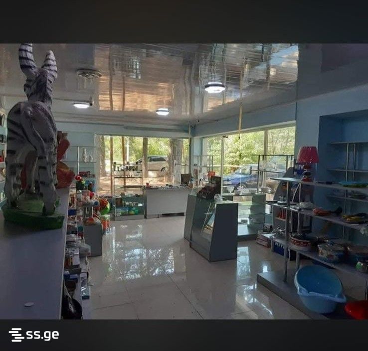 Commercial Space For Rent. Baghdati view 10