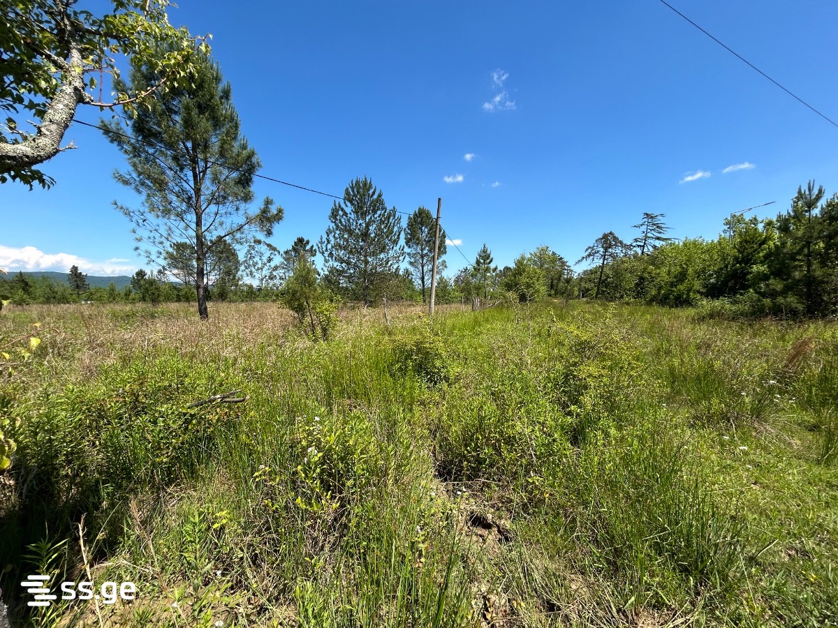 Land For Sale. Tskaltubo view 7