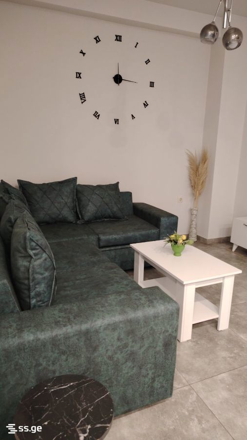 2 Room Flat Daily Rent. Rustavi, 2 of 4