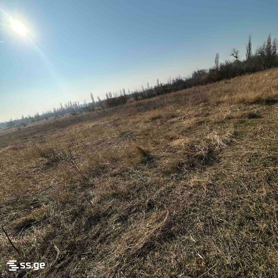 Продажа Земля в ахалсопели view 2