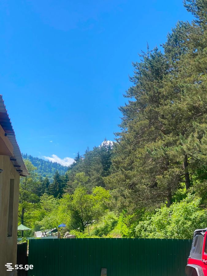 5 Room Private House Daily Rent. Borjomi view 12