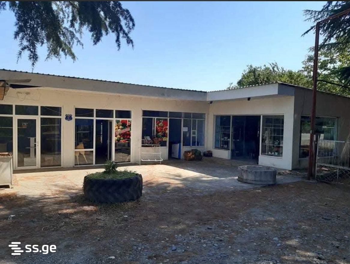 Commercial Space For Rent. Baghdati view 9