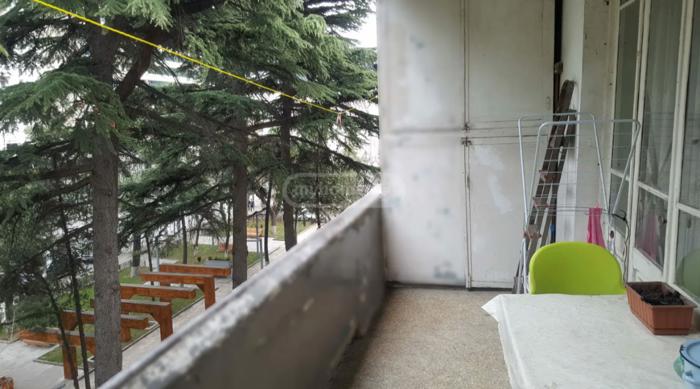 https://static.ss.ge/20260608/7_fbd63081-76c4-444a-b95f-61a99dd79c78_Thumb.jpg