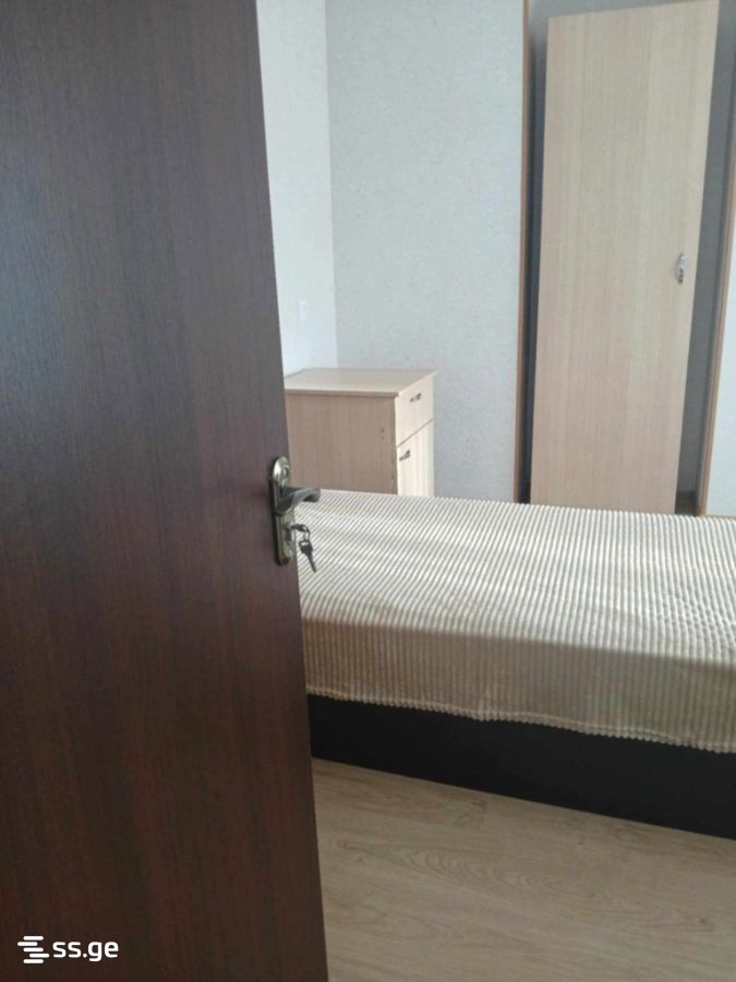 3 Room Flat For Rent. Telavi view 7