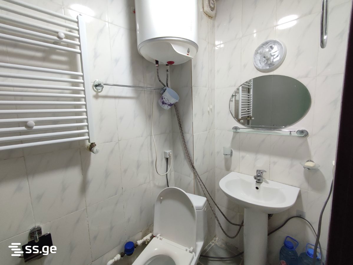 1 Room Flat Daily Rent. Bakuriani view 7