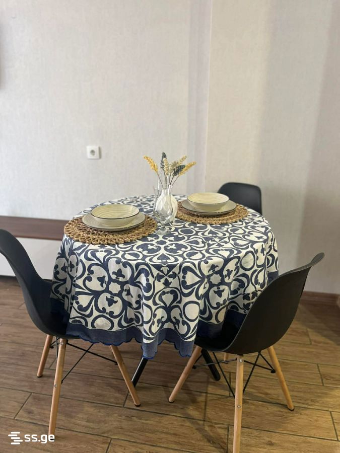 2 room Flat Daily rent. Isani - Widok 2