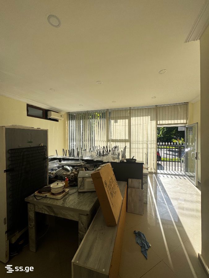 Commercial Real Estate For Rent. Kobuleti view 3